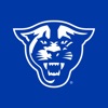 Georgia State Panthers icon