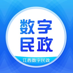 数字民政