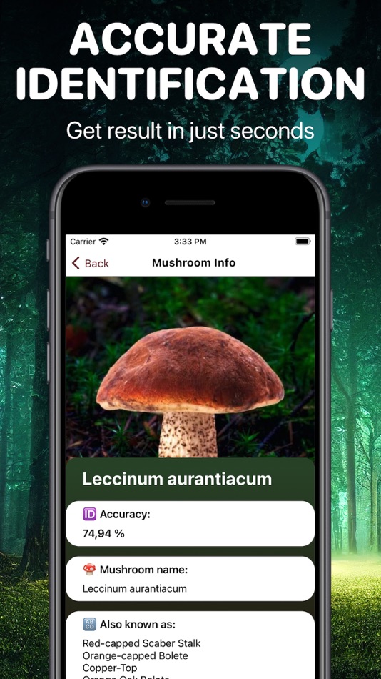 #2. Mushroom Identifier App: Fungi (iOS) بواسطة: Uladzislau Yanushka