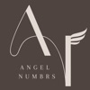 BWR: Angel Numbrs icon
