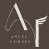 BWR: Angel Numbrs - Huelya Akguel