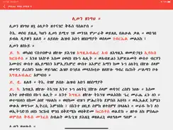 Metsihafe Kidase iPad image 2