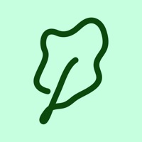 Kale - Creator Rewards Reviews