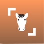 Horse Scanner app download