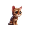 Sad Bengal Cat Stickers