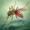 Mosquito Vendetta icon