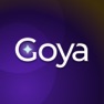 Get Goya・Image Generator & AI Art for iOS, iPhone, iPad Aso Report