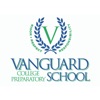 Vanguard Vikings icon