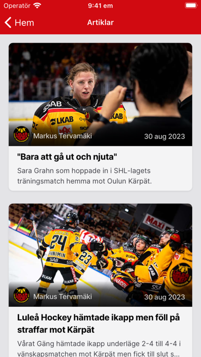 Luleå Hockey Screenshot