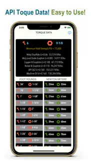 torque data iphone images 1