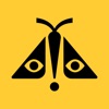 Concert Archives icon