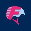 Flink Workforce icon