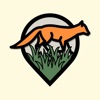 Observe it icon