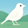 Get Bird identifier - Birding AI for iOS, iPhone, iPad Aso Report