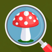 Mushroom Identifier -