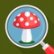 Mushroom Identifier -