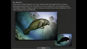 Silhouettes Underwater screenshot 4