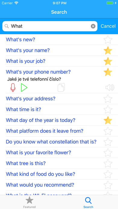 Learn Czech Easy Offline Screenshot 7 of 7