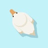 Ducky Ducky icon