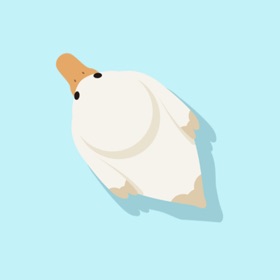 螢幕擷取畫面 (5) Ducky Ducky