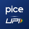 Pice: Business Payments