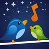 Nature Harmony icon