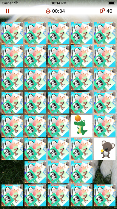 Animal Pexeso screenshot