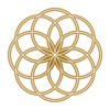 Longevity Passport icon