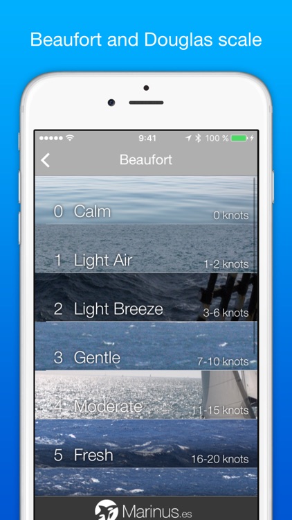 Marinus: maritime rules screenshot-4