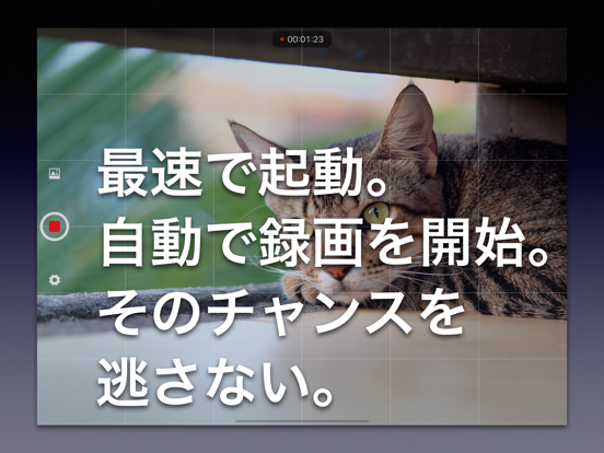 Screenshot #4 pour 最速起動 ゼロカメラ