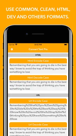 Convert Text - Format Text screenshot 3
