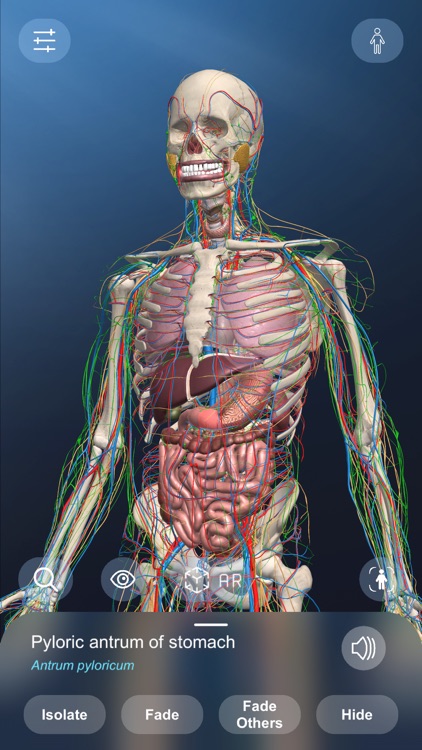 AR Anatomy screenshot-4