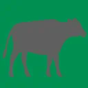 Cattle Weight Estimator