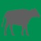 Calculator helps estimate the weight of a cow using just a tape measure