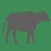 Cattle Weight Estimator