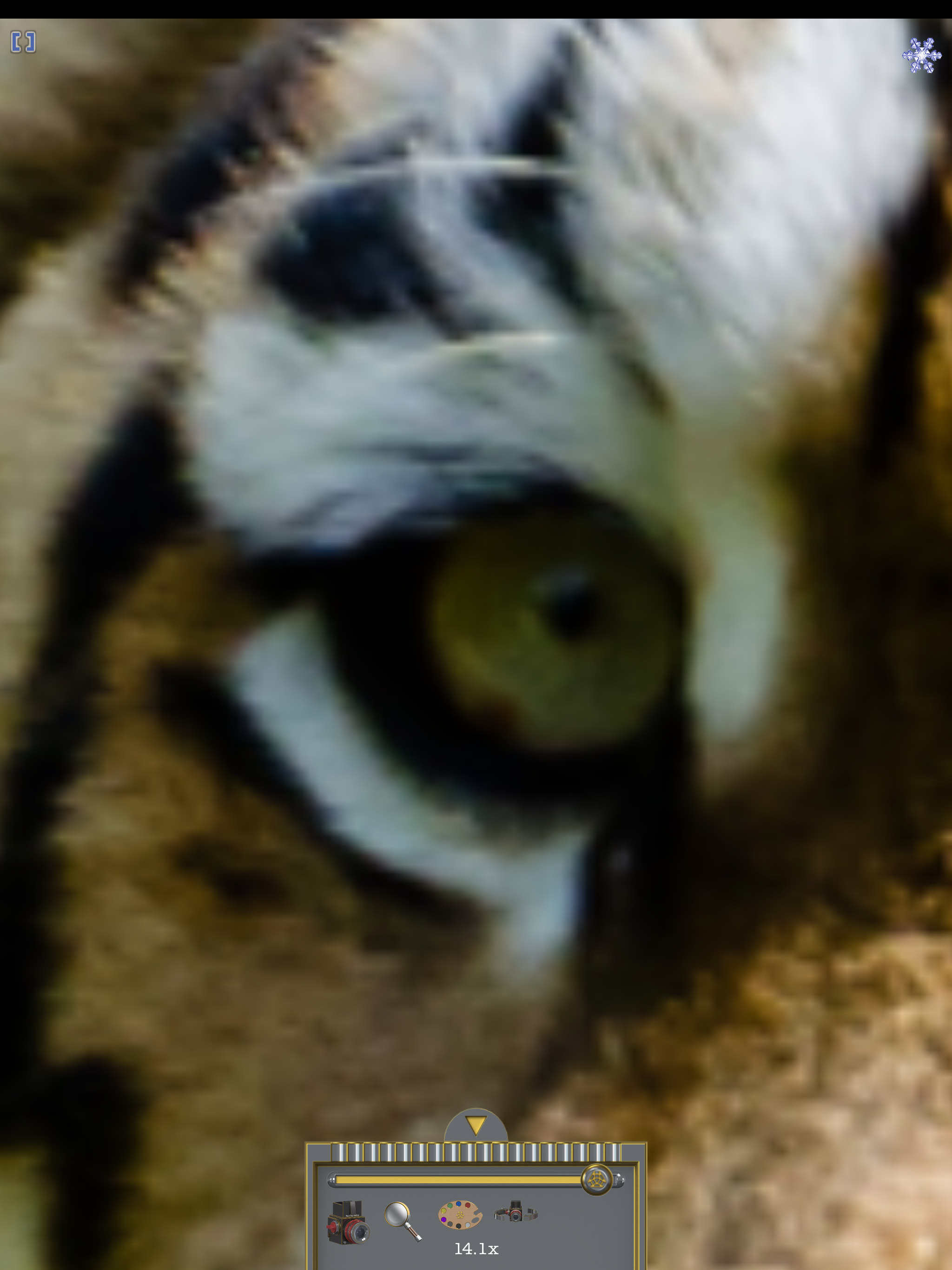 Magnifier (TiAu)