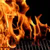 Boss Smokeit Grill Recipes contact information