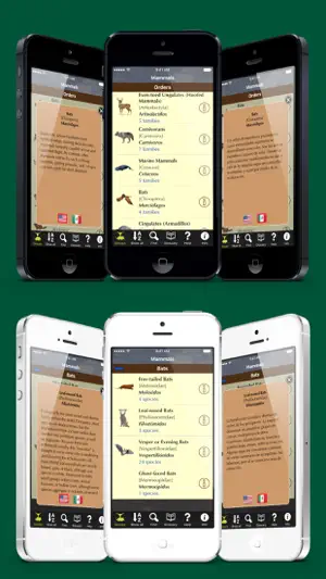 Texas Mammals screenshot 4