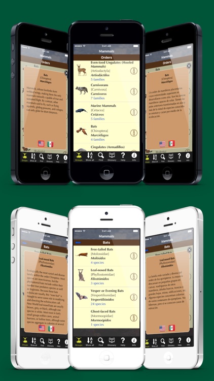 Texas Mammals screenshot-3