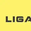 LIGAUFA App Support