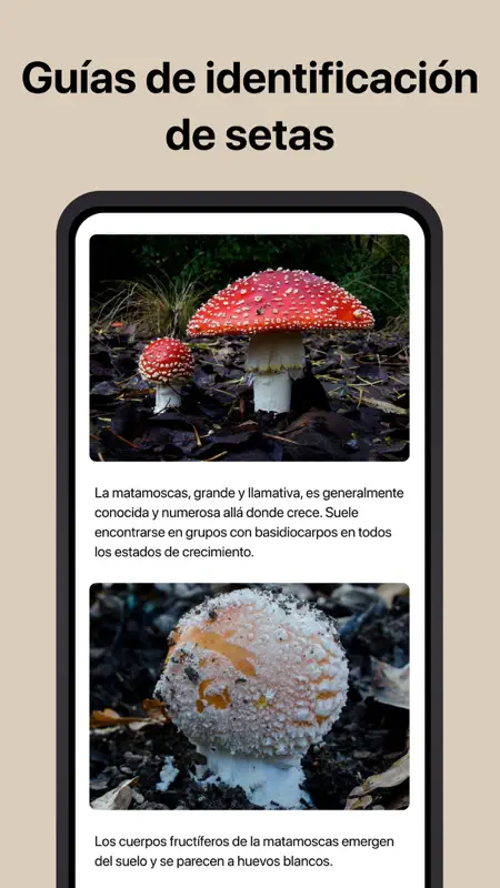 Picture Mushroom：Setas/Hongos screenshot 4 of 5