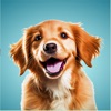 Dog Training Pro: Puppy Guide icon