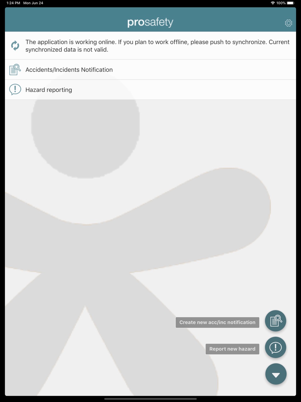 iPad screenshot