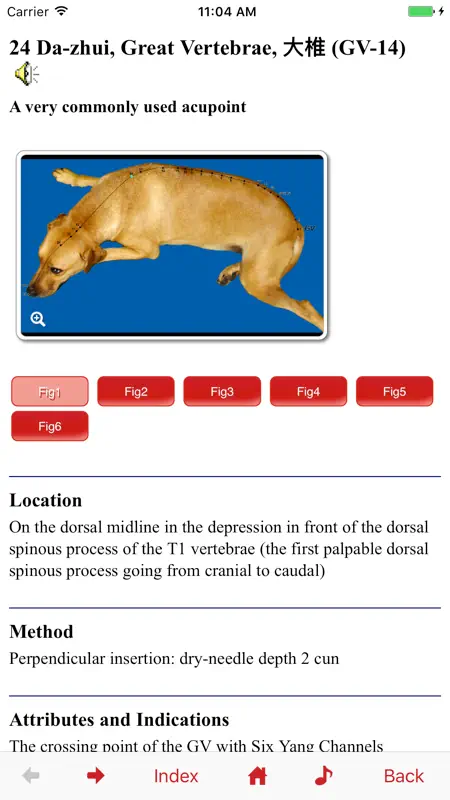 Canine Acupuncture Point screenshot 2 of 5