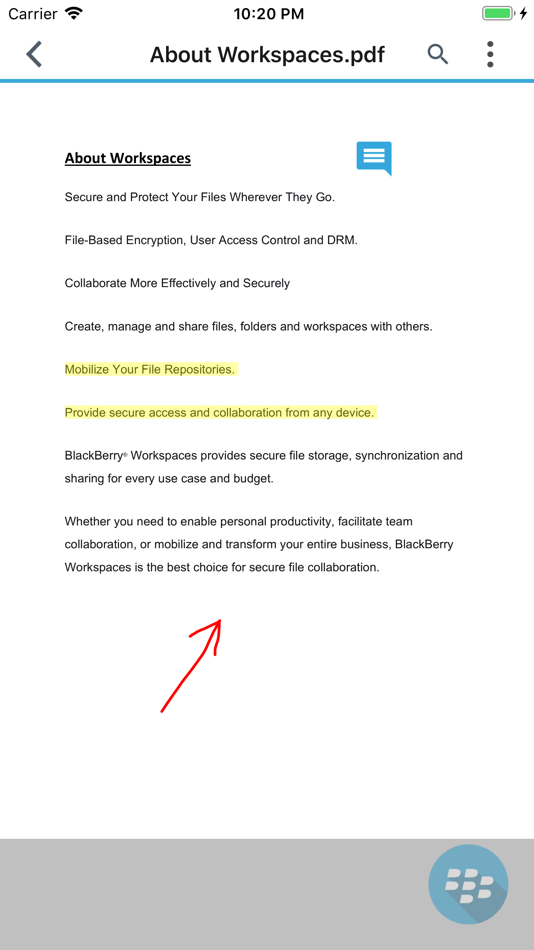 #4. Workspaces Dynamics (iOS) 由: BlackBerry Corporation