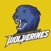 EMCS Wolverines icon