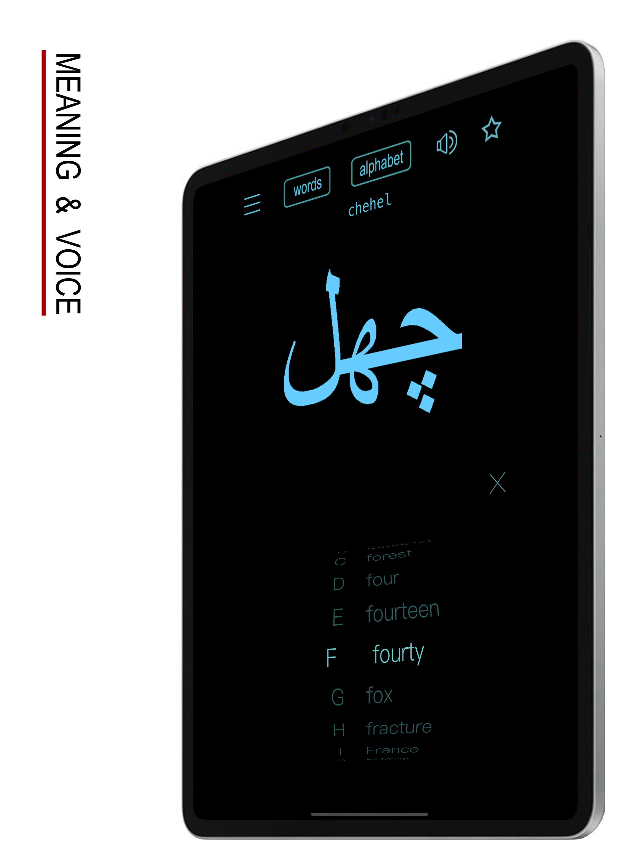 Persian Words & Writing screenshot 14
