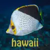 Scuba Fish Hawaii App Feedback