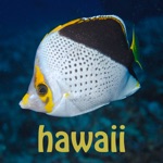 Download Scuba Fish Hawaii app