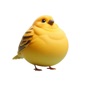 Fat Canary Stickers app download